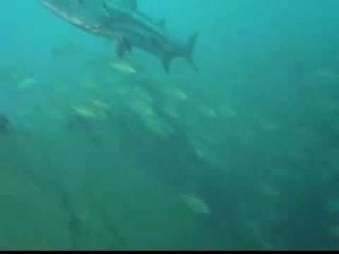 Fantastico Shipwreck