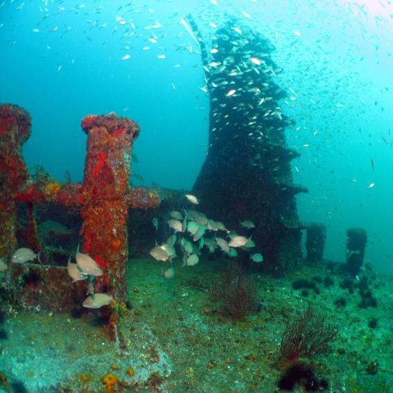 Mac’s Reef Wreck off Panama City Beach, FL