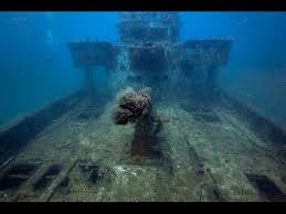 12 of Southwest Florida’s Best Dive Sites