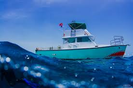 Drift Diving the Jupiter Ledges – Florida Jupiter Ledges Drift Diving Boat