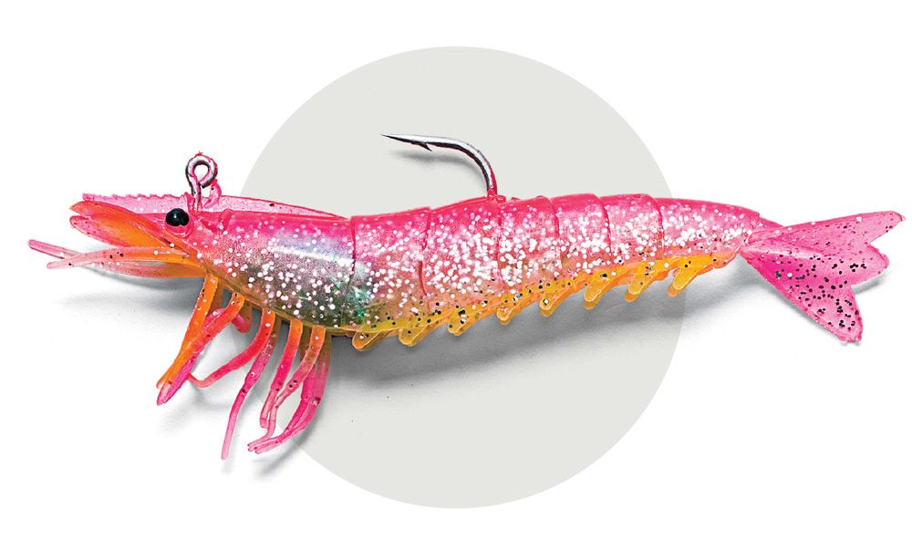 Redfish Tournaments in Florida Redfish chasing artificial shrimp lure