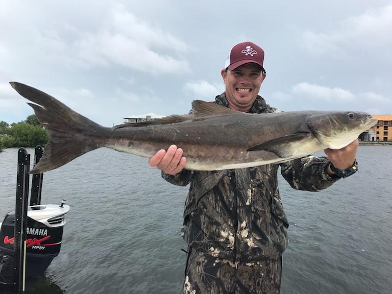 Tampa Bay Fishing Reports