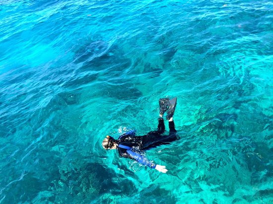 Looe Key Reef for Snorkeling and Scuba